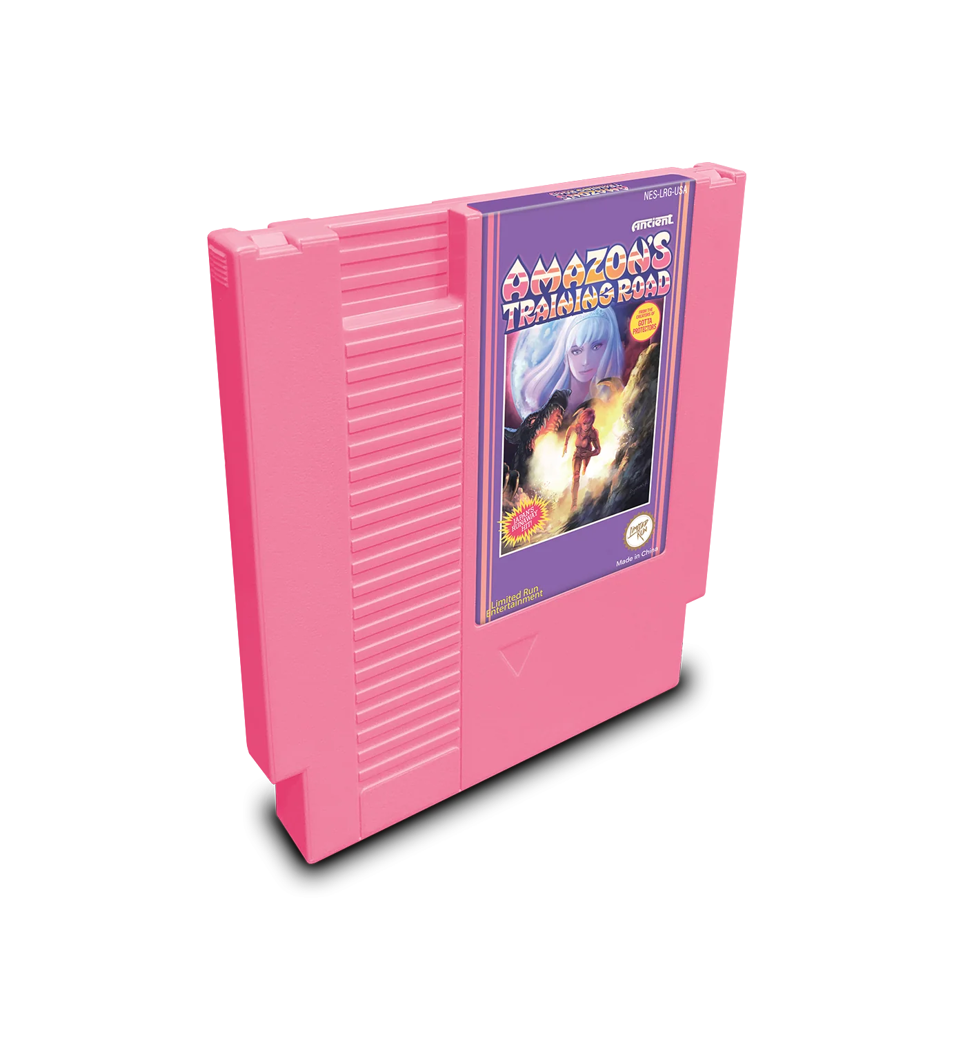 Amazon's Training Road (NES) - Image 2