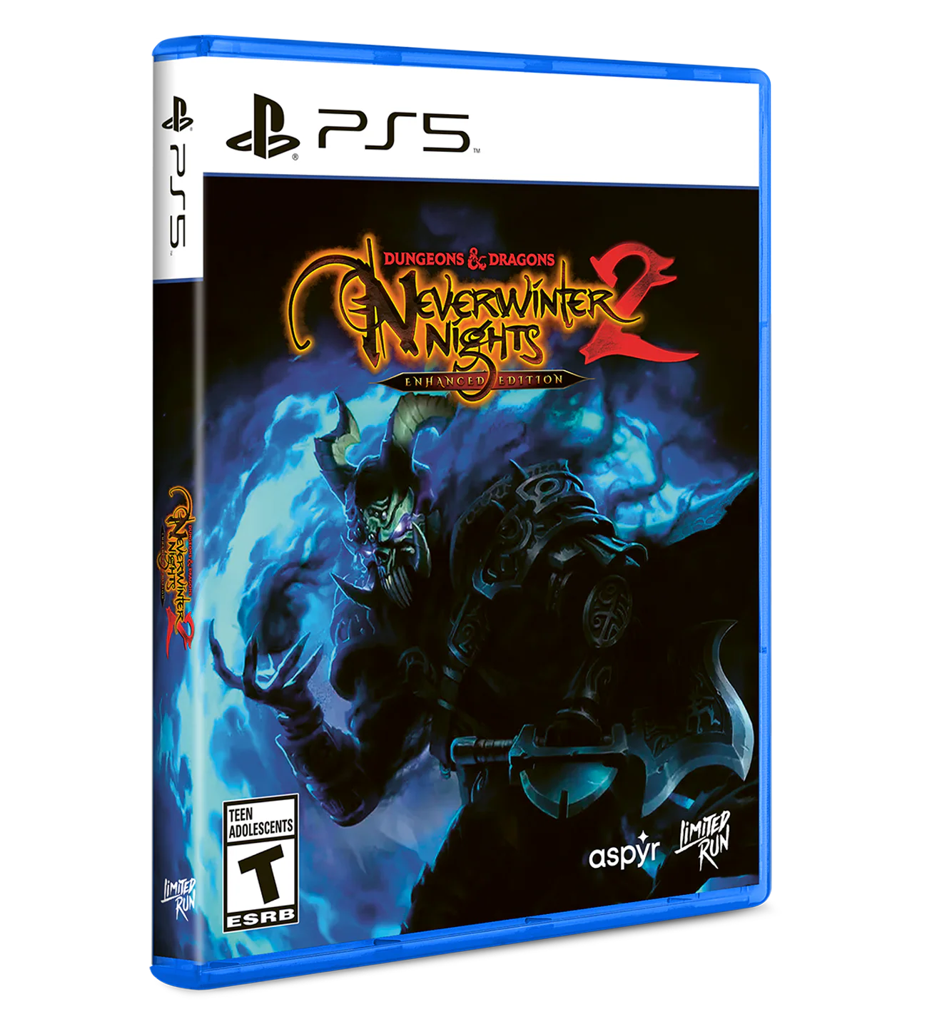 Dungeons & Dragons Neverwinter Nights 2: Enhanced Edition Standard Edition (Switch, PS5, Xbox) - Image 4