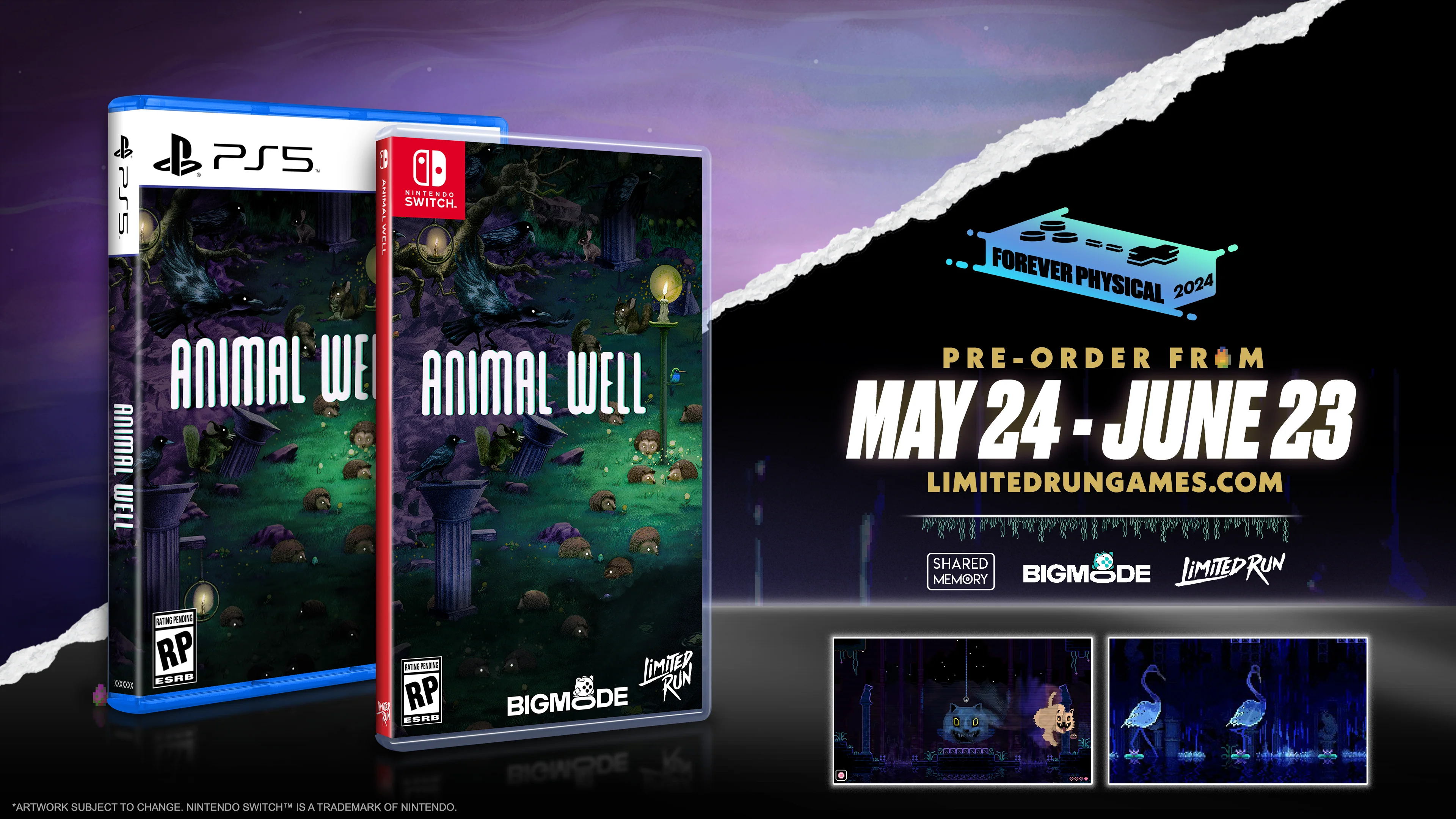 PS5 Limited Run #99: ANIMAL WELL - Image 3