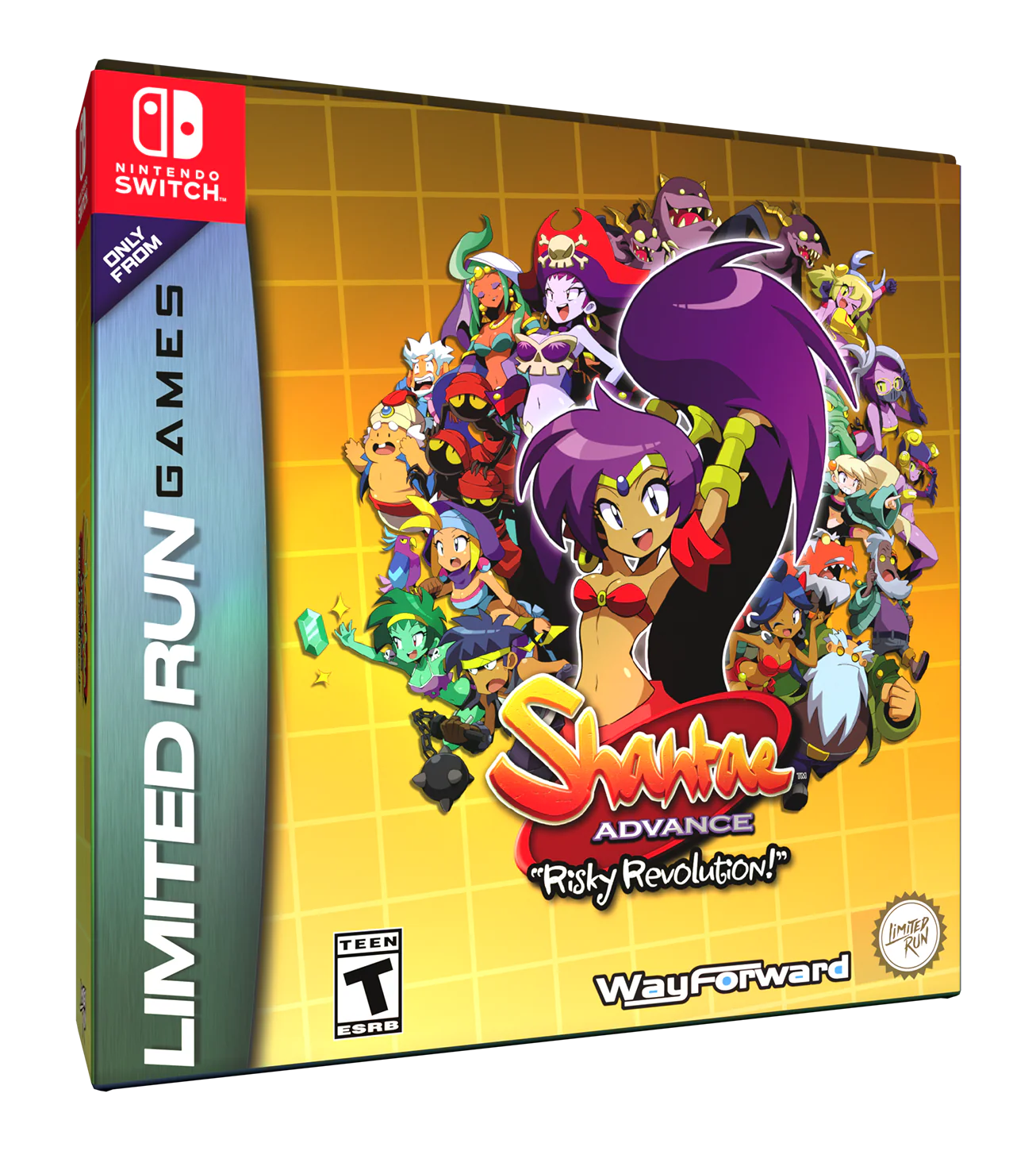 Shantae Advance: Risky Revolution Classic Edition (Switch, PS5, PS4, Xbox, PC) - Image 3