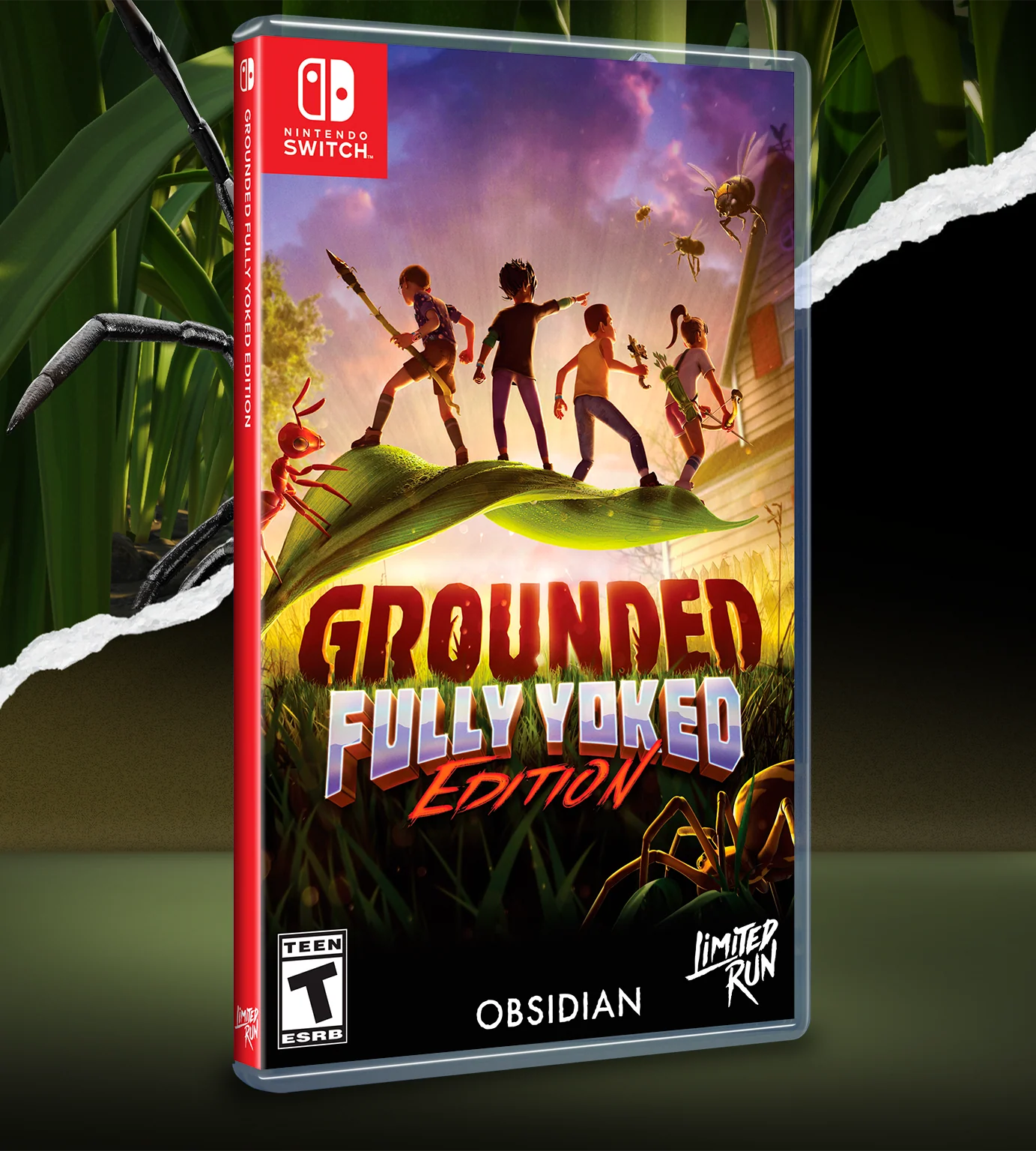 Switch Limited Run #231: Grounded Fully Yoked Edition - Image 2
